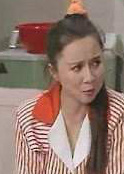 我愛我家(1993年英達執導國內首部情景喜劇)
