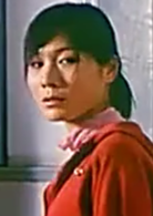 考試(2006年蒲劍執導電影)