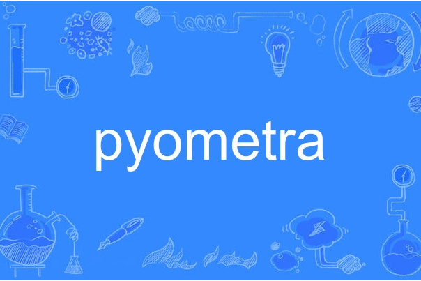 pyometra pyometra