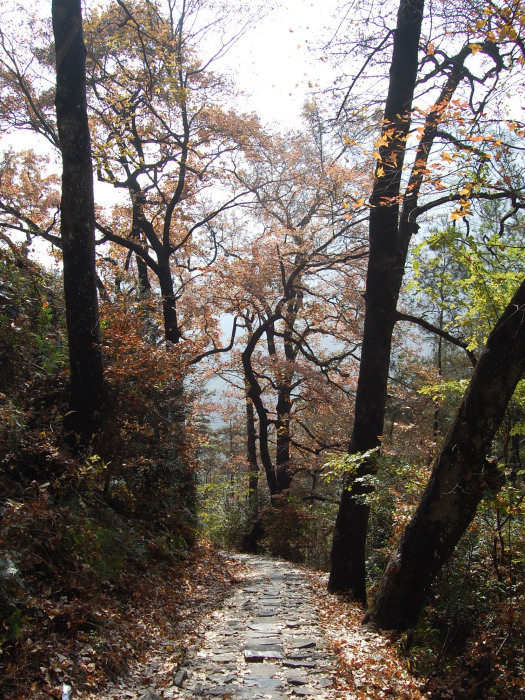 道嶺古道 道嶺古道