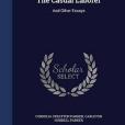 The Casual Laborer: And Other Essays The Casual Laborer: And Other Essays