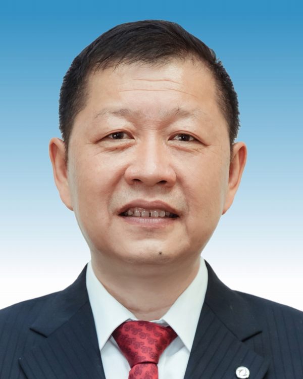 楊青(東風汽車集團有限公司副總經理)