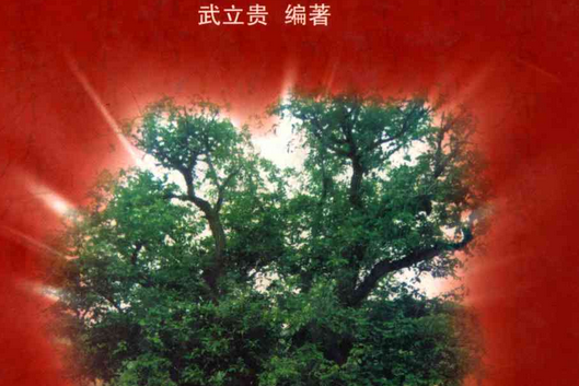 東小景村志 東小景村志