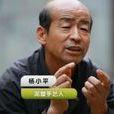 楊小平(陝西耀州非物質文化遺產項目泥塑傳承人) 楊小平(陝西耀州非物質文化遺產項目泥塑傳承人)