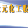 大元股份 大元股份