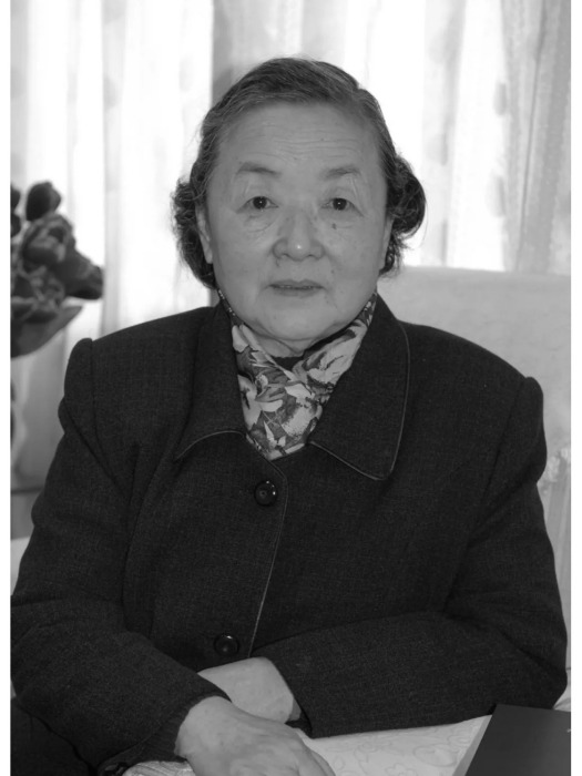 杜傳詩 杜傳詩