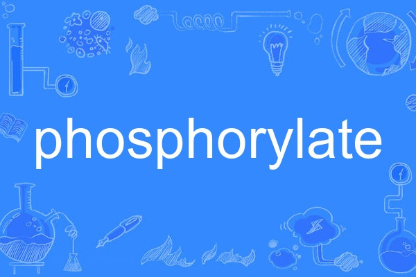 phosphorylate
