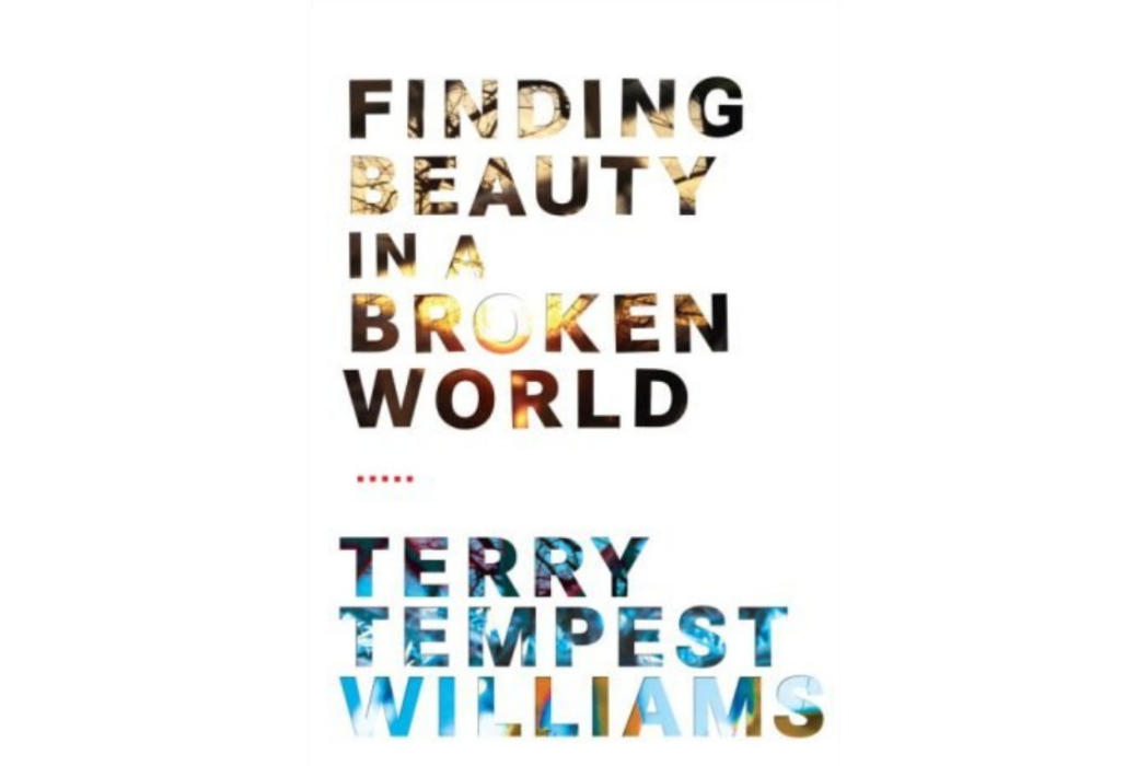 Finding Beauty in a Broken World Finding Beauty in a Broken World