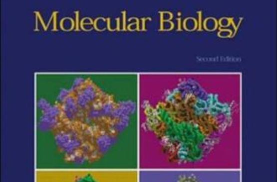 Molecular Biology. 2nd ed.大分子生物學