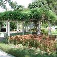 十字花園 十字花園