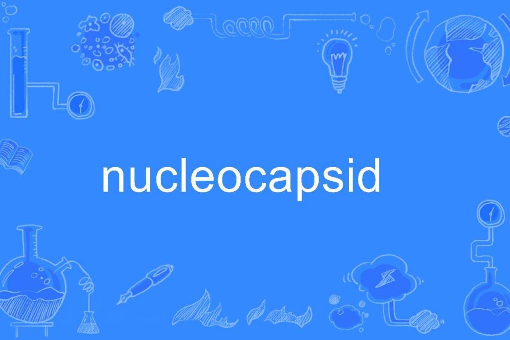 nucleocapsid nucleocapsid