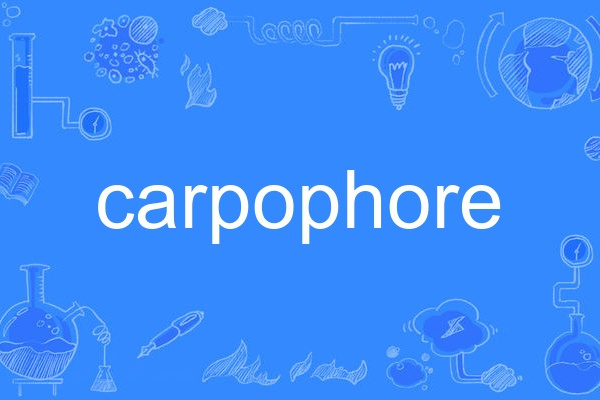 carpophore carpophore