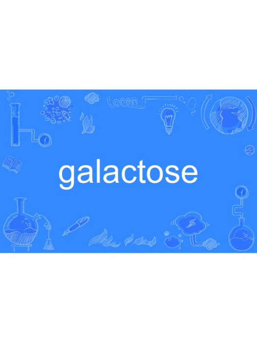 galactose galactose