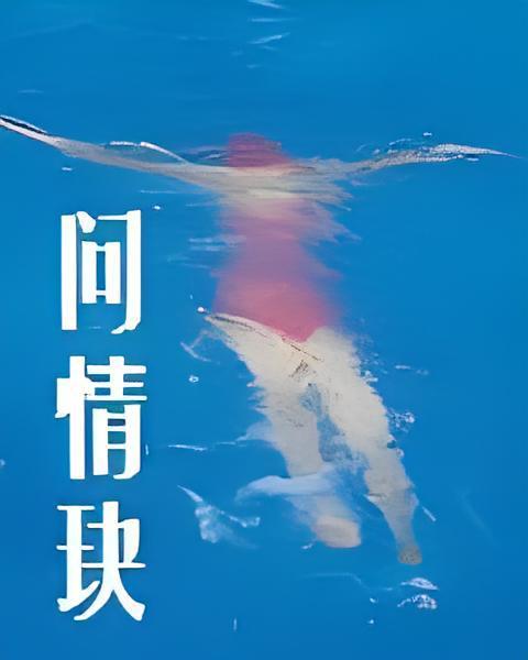 問情玦 問情玦