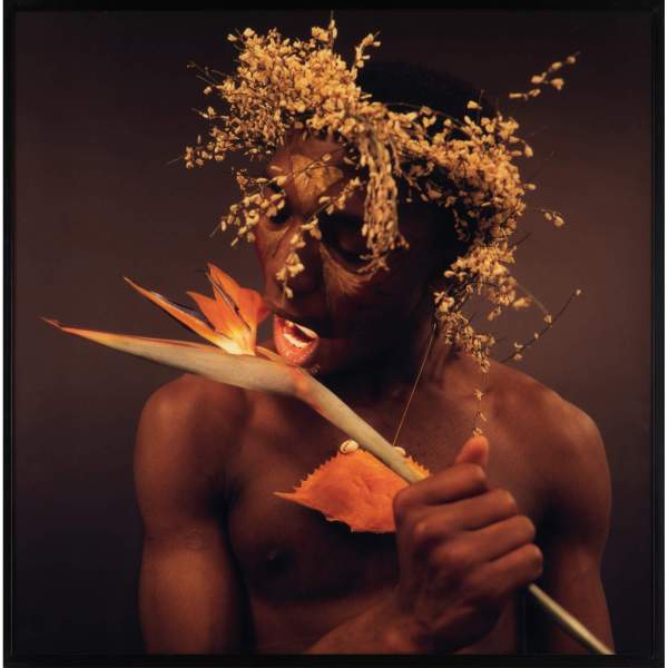 Rotimi Fani Kayode Rotimi Fani Kayode