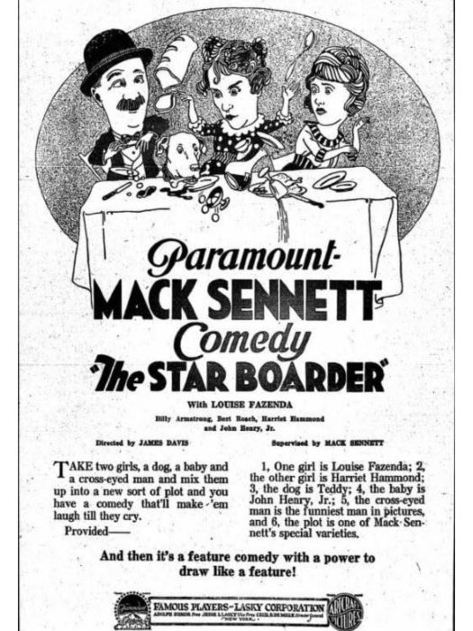 The Star Boarder(美國1920年James D. Davis執導的電影) The Star Boarder(美國1920年James D. Davis執導的電影)