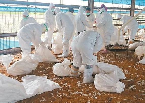 2017年H5N6禽流感疫情