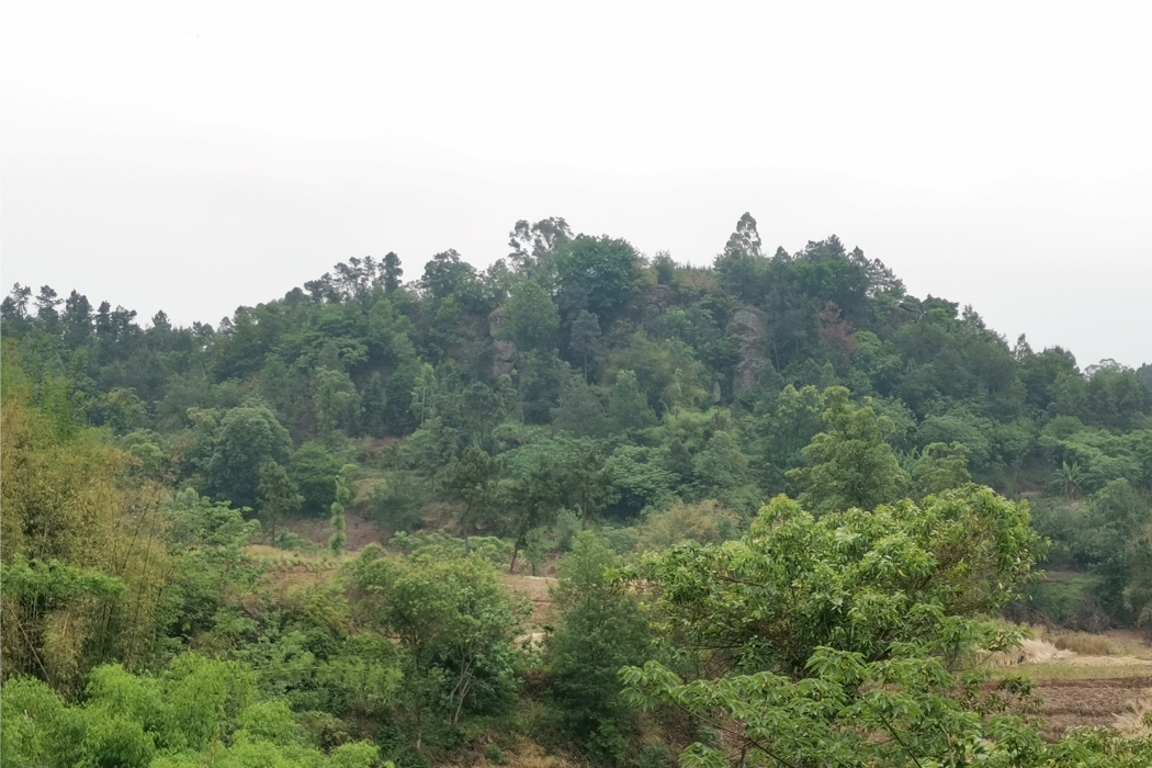 玉寺山 玉寺山