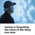 Seeing Is Forgetting the Name of the Thing One Sees(2009年University of California Press出版的圖書) Seeing Is Forgetting the Name of the Thing One Sees(2009年University of California Press出版的圖書)