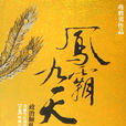 鳳霸九天(蔣勝男所著小說) 鳳霸九天(蔣勝男所著小說)