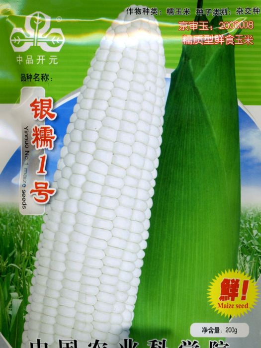 銀糯1號 銀糯1號