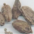 香豆蔻 香豆蔻