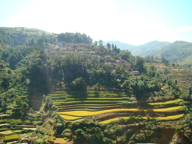 妥咪上村 妥咪上村