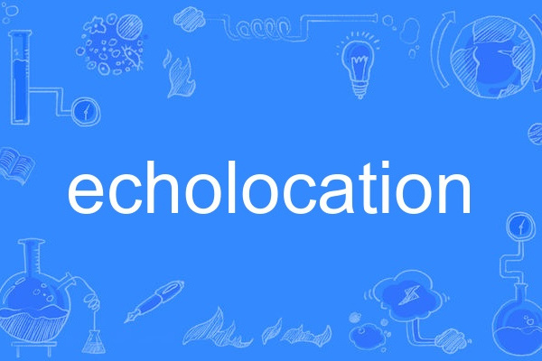echolocation echolocation