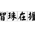 智珠在握 智珠在握