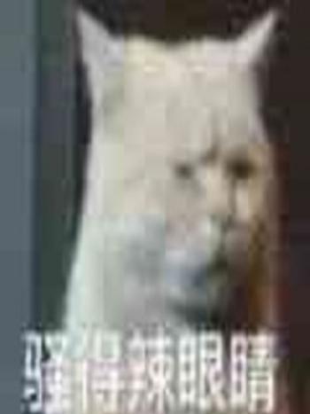 我不是月球人 我不是月球人