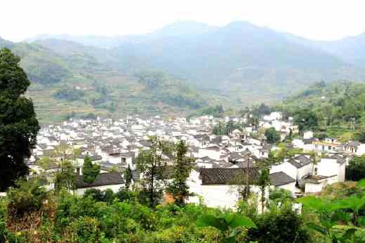 顯村 顯村