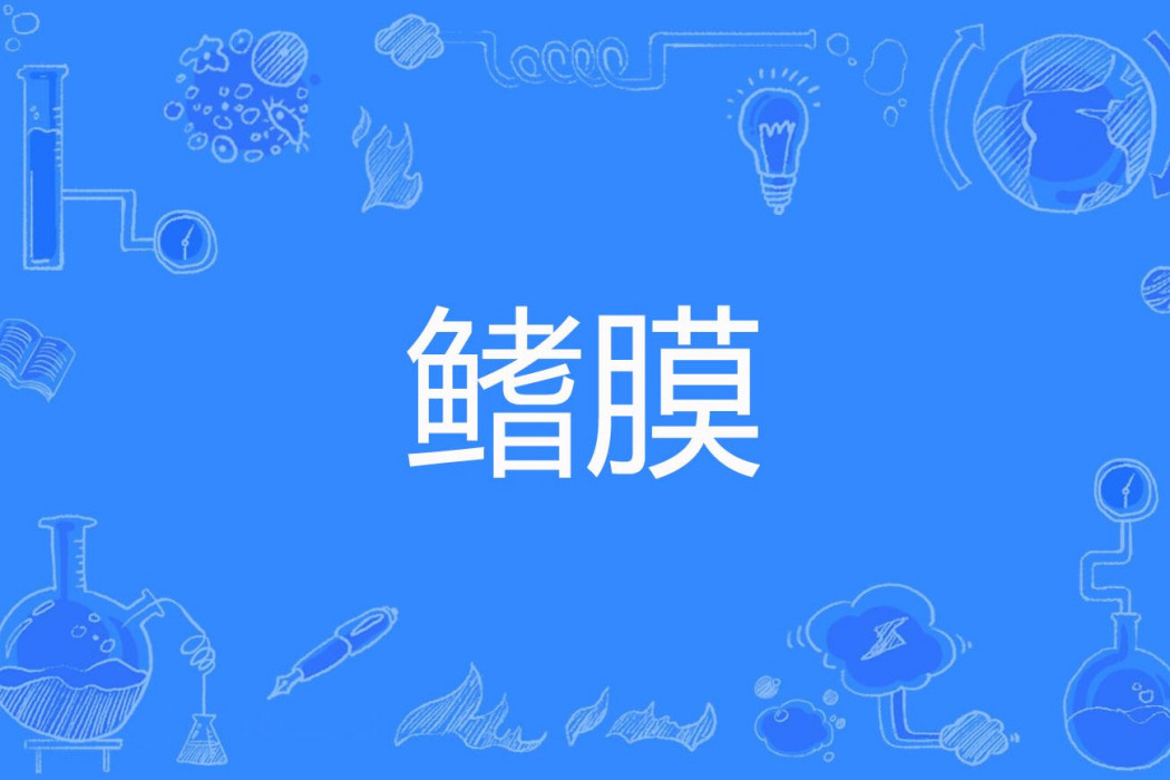 鰭膜 鰭膜