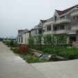 正義村(上海市閔行區浦江鎮下轄村) 正義村(上海市閔行區浦江鎮下轄村)