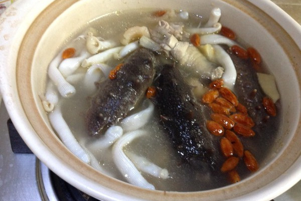 海參豬肉湯