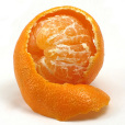 寬皮柑橘