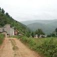 北泉村(安徽省宿州市蕭縣永固鎮下轄村) 北泉村(安徽省宿州市蕭縣永固鎮下轄村)