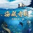 海藏奇圖 海藏奇圖