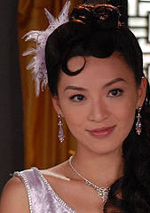 A計畫(中國2007年張衛健主演的電視劇)