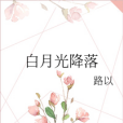 白月光降落