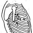 淵腋 淵腋