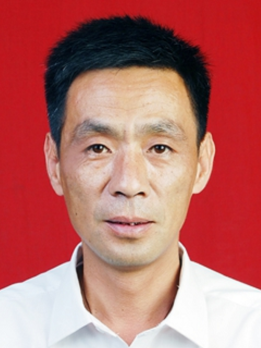 李力(河南省南陽市西峽縣發改委八級職員) 李力(河南省南陽市西峽縣發改委八級職員)