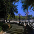 西海子公園 西海子公園