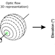 Optical Flow Optical Flow