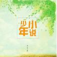 小說少年 小說少年
