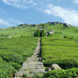 東白山風景區(東白山風景區)