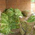 小屯村(雲南省楚雄牟定縣安樂鄉小屯村)