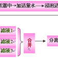 浸出藥劑