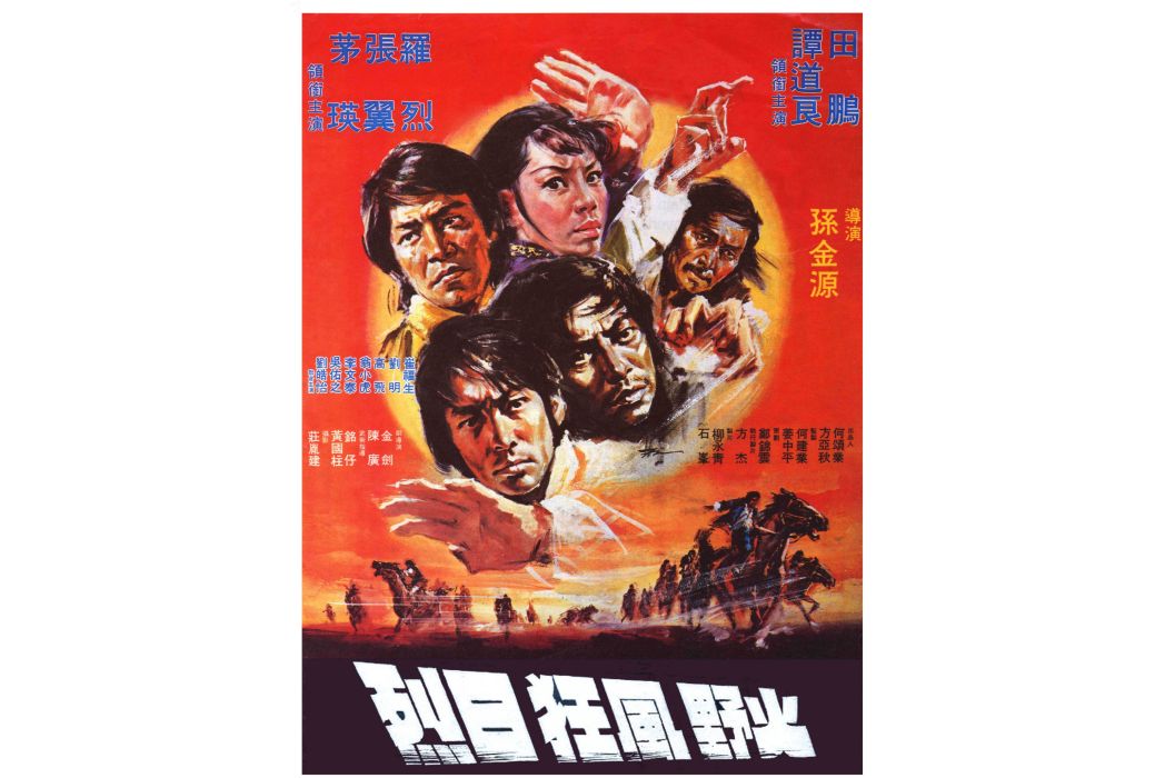 烈日狂風野火(1978年孫金源執導的電影)