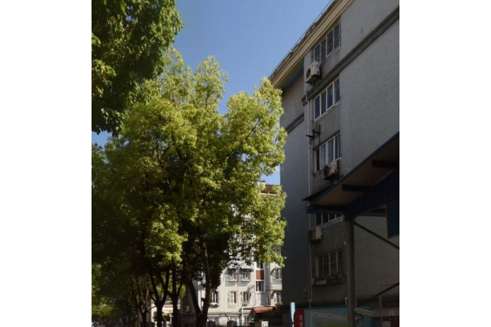 南苑九村 南苑九村