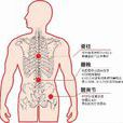 男性衰退 男性衰退
